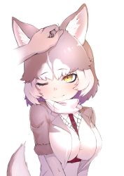 Rule 34 | 1girl, absurdres, animal ear fluff, animal ears, commentary request, deku suke, disembodied hand, dog (mixed breed) (kemono friends), dog ears, dog tail, fur trim, grey hair, hand on another&#039;s head, harness, headpat, highres, jacket, kemono friends, multicolored hair, one eye closed, scarf, short hair, short sleeves, sweater, tail, white hair, yellow eyes