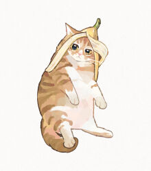Rule 34 | animal, animal focus, banana peel, cat, full body, gentlecat, highres, looking at viewer, lying, no humans, on back, original, simple background, white background