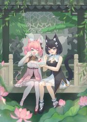 Rule 34 | 2girls, :3, animal ear fluff, animal ears, ankle garter, aqua eyes, black dress, black footwear, black hair, blue hair, blurry, bokukari dolly, bow, bowl, braid, breasts, brown footwear, cat ears, cat tail, center frills, character request, cherry, cleavage, cleavage cutout, clothing cutout, colored inner hair, commentary request, depth of field, dress, eating, flower, food, frilled dress, frilled skirt, frills, fruit, garden, green hair, hair bow, hair flaps, hair flower, hair ornament, hairclip, high heels, highres, holding, holding bowl, holding spoon, hoshina suzu, ice cream, layered skirt, medium breasts, medium hair, mouse ears, mouse girl, mouse tail, multicolored eyes, multicolored hair, multiple girls, one eye closed, outdoors, palm tree, pink bow, pink dress, pink eyes, pink hair, providence project, purple eyes, short hair, shrug (clothing), side braid, sitting, skirt, spoon, star (symbol), star hair ornament, streaked hair, tail, tail bow, tail ornament, temple gate, thighhighs, tree, tulip, underbust, virtual youtuber, wactor production, white flower, white legwear, white skirt, window