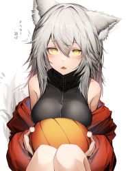 Rule 34 | 1girl, absurdres, animal ear fluff, animal ears, arknights, bare shoulders, blush, breasts, fangs, grey hair, hair between eyes, highres, holding, jacket, large breasts, looking at viewer, official alternate costume, open mouth, projekt red (arknights), red jacket, simple background, sitting, solo, tab head, tail, translation request, white background, wolf ears, wolf girl, wolf tail, yellow eyes, zipper