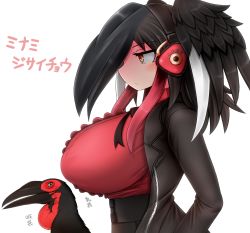 Rule 34 | 1girl, animal, bird, bird wings, black hair, blouse, breasts, center frills, closed mouth, creature and personification, daddy pomgi, expressionless, fictional persona, frills, from side, head wings, headphones, highres, hornbill, huge breasts, impossible clothes, jacket, kemono friends, long sleeves, multicolored hair, open clothes, open jacket, orange eyes, original, red hair, shirt, sidelocks, southern ground hornbill (kemono friends) (daddy pomgi), unzipped, upper body, wings, zipper