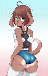 Rule 34 | !, 1girl, ahoge, animal ears, aqua eyes, arm at side, ass, backpack, bag, bandeau, bloomers, blush, breasts, brown hair, clothing cutout, coffeechicken, commentary, cowboy shot, dog ears, dog girl, dog tail, from behind, furry, furry female, hair between eyes, highres, kess (coffeechicken), looking at viewer, looking back, multicolored background, open mouth, original, short hair, small breasts, solo, standing, tail, tail through clothes, thighhighs, underwear, white background, winged bag