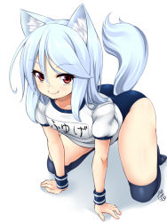 Rule 34 | 1girl, amau (kosmos), animal ears, ass, blue thighhighs, borrowed character, buruma, fang, fox ears, fox tail, gym uniform, looking at viewer, original, over-kneehighs, puffy short sleeves, puffy sleeves, revision, shirt, short sleeves, silver hair, simple background, smile, solo, tail, thighhighs
