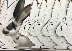 Rule 34 | absurdres, acrylic paint (medium), animal, edamame nippon, highres, no humans, original, painting (medium), photo (medium), rabbit, rainbow order, realistic, simple background, style request, traditional media, white background