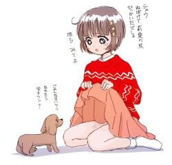 1girl animal brown_hair dog dress hair_ornament hairclip long_sleeves oda_shuuki original short_hair sitting skirt socks tears white_background