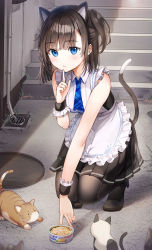 Rule 34 | 1girl, animal ears, apron, bare shoulders, black hair, blue eyes, blush, breasts, cat, cat ears, cat girl, cat tail, commentary request, dress, looking at viewer, maid, maid apron, maid headdress, medium breasts, original, outdoors, pantyhose, pet food, rangu, sleeveless, sleeveless dress, solo, tail