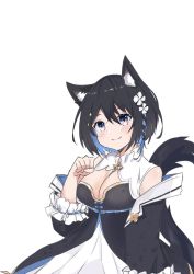 Rule 34 | 1girl, animal ear fluff, animal ears, badge, black dress, black hair, blue hair, blue ribbon, blush, braid, breasts, button badge, cat ears, cat tail, cleavage, colored inner hair, dress, flower, frilled sleeves, frills, fzm 20001019, hair flower, hair ornament, hair ribbon, hair tie, hairpin, happy, hoshina suzu, looking at viewer, medium breasts, multicolored clothes, multicolored dress, multicolored hair, off-shoulder jacket, off shoulder, paw pose, purple eyes, ribbon, ribbon braid, short hair, side braid, smile, solo, star (symbol), tail, virtual youtuber, wactor production, white background, white dress