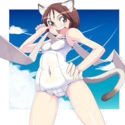 Rule 34 | 1girl, animal ears, brown hair, cat ears, cat tail, covered navel, hand on own hip, katuhata, nishizawa yoshiko, one-piece swimsuit, open mouth, scarf, school swimsuit, short hair, solo, strike witches, swimsuit, tail, white school swimsuit, white one-piece swimsuit, world witches series