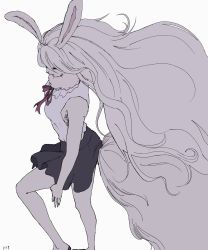 Rule 34 | 1girl, alternate form, animal ears, carrot (one piece), from above, furry, furry female, highres, long hair, one piece, rabbit ears, rabbit girl, ribbon, skirt, solo, sulong form, tail, ufkqz, white background, white hair
