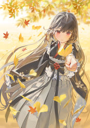 Rule 34 | 1girl, autumn, autumn leaves, black hair, black kimono, blurry, blurry background, blush, commission, depth of field, frilled sleeves, frills, ginkgo leaf, grey skirt, hair between eyes, highres, holding, holding leaf, japanese clothes, kimono, kitada mo, leaf, long hair, long sleeves, looking at viewer, maple leaf, obi, original, parted lips, pleated skirt, red eyes, sash, skirt, sleeves past fingers, sleeves past wrists, solo, very long hair, wide sleeves