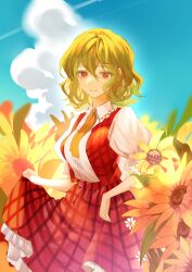 Rule 34 | 1girl, absurdres, closed mouth, collared shirt, day, flower, green hair, hair between eyes, highres, kanta (pixiv9296614), kazami yuuka, outdoors, plaid, plaid shirt, plaid skirt, puffy short sleeves, puffy sleeves, red eyes, red skirt, red vest, shirt, short hair, short sleeves, skirt, smile, solo, sunflower, touhou, vest, white shirt, yellow flower