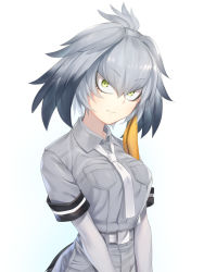 Rule 34 | asutora, belt, blue background, breast pocket, breasts, commentary request, elbow gloves, gloves, gradient background, grey hair, grey shirt, hair between eyes, head tilt, head wings, highres, kemono friends, large breasts, looking at viewer, necktie, pocket, shirt, shoebill (kemono friends), short hair, short sleeves, solo, staring, upper body, v-shaped eyebrows, v arms, white background, white gloves, white necktie, wings, yellow eyes