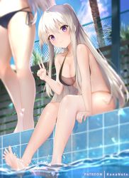 Rule 34 | 2girls, azur lane, bare shoulders, barefoot, bikini, black bikini, blue sky, blush, breasts, chain-link fence, character request, check character, cleavage, closed mouth, cloud, day, enterprise (azur lane), fence, hat, large breasts, long hair, looking at viewer, mujinbensin, mujinbi, multiple girls, outdoors, palm tree, ponytail, pool, prinz eugen (azur lane), purple eyes, see-through, silver hair, sitting, sky, smile, standing, swimsuit, tree, v, very long hair, water