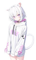Rule 34 | 1girl, absurdres, animal ear fluff, animal ears, bell, cat ears, cat girl, cat tail, collar, expressionless, extra ears, highres, hood, hood down, hoodie, long sleeves, looking at viewer, neck bell, no pants, norio (noriosub), original, purple eyes, simple background, sleeves past wrists, tail, white background, white hair, white hoodie