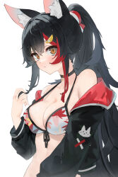 Rule 34 | 1girl, :&lt;, absurdres, animal ear fluff, animal ears, bikini, black choker, black hair, black jacket, blush, breasts, brown eyes, choker, cleavage, crossed bangs, fishofthelakes, hair between eyes, hair ornament, hand up, highres, hololive, jacket, long hair, long sleeves, looking at viewer, off shoulder, ookami mio, playing with own hair, ponytail, simple background, solo, stomach, swimsuit, upper body, virtual youtuber, wet, wet clothes, wet hair, white background, wolf ears