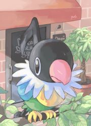 Rule 34 | animal focus, beak, bird, black eyes, branch, chatot, closed mouth, commentary request, creatures (company), day, door, game freak, gen 4 pokemon, happi xfyg, leaf, nintendo, no humans, outdoors, plant, pokemon, pokemon (creature), potted plant, signature, solo, standing