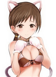 Rule 34 | 1girl, animal ears, bell, blush, bra, breasts, brown eyes, brown hair, cat ears, cat tail, cleavage, collar, front-tie top, hands on own chest, idolmaster, idolmaster cinderella girls, long hair, looking at viewer, medium breasts, mittens, nannacy7, neck bell, nitta minami, own hands together, ponytail, solo, standing, striped bra, striped clothes, tail, teeth, underwear, upper teeth only