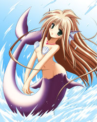 Rule 34 | 1girl, :d, breasts, brown hair, fins, floating hair, green eyes, head fins, jewelry, long hair, lowleg, mermaid, monster girl, necklace, ocean, open mouth, seashell, shell, shell bikini, small breasts, smile, solo, v arms, waiai, water