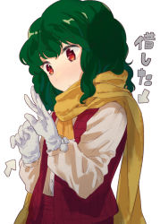Rule 34 | 1girl, arrow (symbol), ascot, clenched hand, closed mouth, commentary request, dress shirt, enpera, expressionless, from side, fur-trimmed gloves, fur trim, gloves, green hair, hands up, kazami yuuka, kinosaki, long sleeves, looking at hand, looking at hands, looking away, looking down, medium hair, no pupils, open clothes, open hand, open vest, plaid, plaid skirt, plaid vest, pom pom (clothes), puffy long sleeves, puffy sleeves, red eyes, red skirt, red vest, scarf, shirt, shirt tucked in, simple background, skirt, skirt set, solo, touhou, translation request, upper body, vest, wavy hair, white background, white gloves, white shirt, winter clothes, yellow ascot, yellow scarf