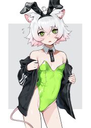 Rule 34 | 1girl, absurdres, adidas, animal ear fluff, animal ears, bare shoulders, blush, breasts, clothes writing, commentary request, covered navel, cowboy shot, detached collar, fake animal ears, green eyes, green leotard, highleg, highleg leotard, highres, jacket, leotard, long sleeves, looking at viewer, mouse ears, mouse girl, mouse tail, multicolored hair, off shoulder, open mouth, original, perl (vertigris), playboy bunny, rabbit ears, short hair, simple background, small breasts, solo, strapless, strapless leotard, sweatdrop, tail, vertigris, white hair