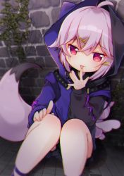 Rule 34 | blue hoodie, brick wall, hair ornament, hairpin, hand on leg, hand to own mouth, highres, hood, hoodie, legs, legs together, matatabi (nigatsu), outdoors, plant, red eyes, short hair, sitting, tail, tongue, tongue out
