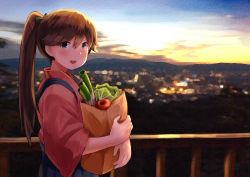 Rule 34 | 10s, 1girl, absurdres, bag, blue hair, blurry, blush, city lights, cityscape, cloud, depth of field, dusk, evening, food, from side, groceries, hair ribbon, hakama, hakama skirt, highres, holding, holding bag, houshou (kancolle), japanese clothes, kantai collection, kimono, lettuce, long hair, looking at viewer, hugging object, okitsugu, open mouth, outdoors, paper bag, ponytail, railing, ribbon, skirt, sky, smile, solo, spring onion, sunset, tasuki, tomato, vegetable, wide sleeves