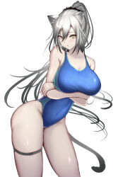 Rule 34 | 1girl, absurdres, animal ears, arknights, bare arms, bare shoulders, blue one-piece swimsuit, breasts, cat ears, cat tail, cleavage, commentary, covered navel, cowboy shot, grey hair, highres, large breasts, long hair, looking at viewer, one-piece swimsuit, poni (poni arknights), ponytail, schwarz (arknights), simple background, solo, standing, swimsuit, tail, thigh strap, thighs, very long hair, white background, yellow eyes