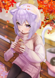 Rule 34 | 1girl, absurdres, ahoge, animal ear fluff, animal ears, autumn, autumn leaves, bag, bench, black pants, blush, cat ears, cat girl, cat tail, commentary request, crumbs, food, handbag, highres, hololive, looking at viewer, nekomata okayu, on bench, open mouth, pants, parijennu222, park bench, purple eyes, purple hair, purple sweater, sandwich, sweater, tail, virtual youtuber