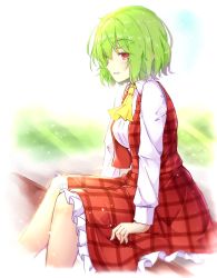 Rule 34 | 1girl, aka tawashi, ascot, bloom, breasts, collared shirt, commentary, commentary request, feet out of frame, from side, green hair, hair between eyes, highres, kazami yuuka, light particles, light rays, long sleeves, looking at viewer, medium breasts, open clothes, open vest, overexposure, parted lips, petticoat, plaid, plaid skirt, plaid vest, profile, red eyes, red vest, shirt, short hair, sitting, skirt, skirt set, smile, solo, symbol-only commentary, touhou, vest, white shirt, yellow ascot