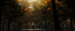 Rule 34 | asteroid ill, autumn, day, forest, highres, nature, no humans, original, scenery, shadow