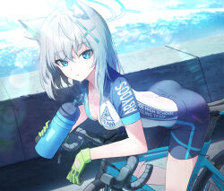Rule 34 | 1girl, animal ear fluff, animal ears, bicycle, bike jersey, bike shorts, blue archive, blue eyes, blush, bottle, breasts, cross hair ornament, cycling uniform, extra ears, gloves, green gloves, grey hair, hair ornament, halo, highres, looking at viewer, medium breasts, medium hair, mismatched pupils, ocean, official alternate costume, parted lips, riding, riding bicycle, road bicycle, shiroko (blue archive), shiroko (cycling) (blue archive), short sleeves, shorts, solo, sweat, vikpie, water bottle, wolf ears