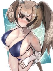Rule 34 | 1girl, alternate breast size, bare shoulders, bikini, bird girl, bird tail, bird wings, blue bikini, blush, breasts, brown eyes, brown hair, closed mouth, collarbone, covered erect nipples, eurasian eagle owl (kemono friends), from above, grey hair, hair between eyes, head wings, highres, huge breasts, kemono friends, long sleeves, looking at viewer, multicolored hair, nose blush, off shoulder, owl ears, owl girl, shibori kasu, sketch, sleeves past wrists, solo, stomach, swimsuit, tail, water, wet, wings