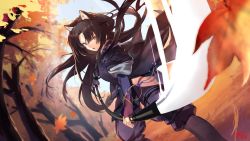 Rule 34 | 1girl, animal ears, arknights, autumn, autumn leaves, coat, dog ears, dog girl, fingerless gloves, gloves, hair between eyes, highres, holding, holding weapon, incoming attack, japanese clothes, leaf, long hair, looking at viewer, maple leaf, naginata, open mouth, orange eyes, pants, polearm, saga (arknights), shimotsuki shio, solo, standing, tree, weapon