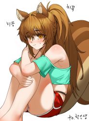 Rule 34 | 1girl, absurdres, animal ears, artist request, bare legs, bare shoulders, blush, bra strap, brown eyes, brown hair, commission, crop top, feet out of frame, green shirt, hair between eyes, highleg, highleg panties, highres, knee up, korean text, large tail, midriff, off-shoulder shirt, off shoulder, original, panties, park bokja, ponytail, red shorts, second-party source, shirt, short shorts, short sleeves, shorts, simple background, sitting, solo, squirrel ears, squirrel tail, tail, thighs, underwear, white background