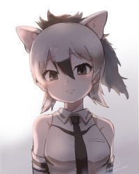 Rule 34 | 10s, 1girl, aardwolf (kemono friends), animal ears, backlighting, bare shoulders, black hair, blush, collared shirt, elbow gloves, extra ears, gloves, grey hair, hair between eyes, highres, jewelry, kemono friends, looking at viewer, multicolored hair, necklace, ponytail, portrait, shirt, short hair, signature, sleeveless, solo, tail, tatsuno newo, twitter username, upper body, white hair