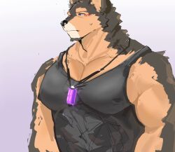 Rule 34 | 1boy, animal ears, black shirt, blush, brown eyes, dog boy, dog ears, furry, furry male, gem, highres, jewelry, live a hero, male focus, muscular, muscular male, necklace, pectorals, pubraseer (live a hero), shirt, sleeveless, sleeveless shirt, sweatdrop, upper body, wang yzzx