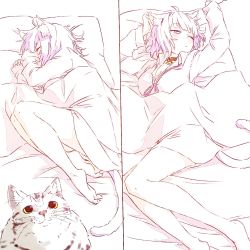 Rule 34 | 1girl, animal ears, bare legs, bed sheet, breasts, cat, cat ears, cat girl, cat tail, collar, full body, hashiguma, highres, hololive, long sleeves, lying, medium breasts, nekomata okayu, nekomata okayu (oversized shirt), on bed, on side, one eye closed, pillow, shirt, short hair, sketch, sleeping, sleepy, tail, virtual youtuber, waking up