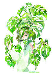 Rule 34 | 1girl, androgynous, artist name, asymmetrical hair, backless dress, backless outfit, dress, expressionless, green dress, green eyes, green hair, green theme, growing out of body, hair over one eye, hand up, long sleeves, looking at viewer, maruti bitamin, monstera deliciosa, original, painting (medium), plant, short hair, sprout, surreal, traditional media, upper body, watercolor (medium), white background