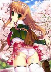 Rule 34 | 1girl, absurdres, ass, bag, blazer, briefcase, brown hair, cherry blossoms, clothes lift, cowboy shot, day, dengeki moeou, dress shirt, finger to mouth, fujima takuya, green eyes, hair ribbon, highres, jacket, loafers, looking back, outdoors, panties, petals, plaid, plaid skirt, pleated skirt, ribbon, school bag, school briefcase, school uniform, shirt, shoes, side-tie panties, skirt, skirt lift, solo, striped clothes, striped panties, thighhighs, tree, underwear, white thighhighs, wind, wind lift