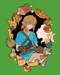 Rule 34 | 1boy, acorn, apple, apple slice, blonde hair, blue eyes, blue tunic, boned meat, bowl, butter, cake, earrings, fingerless gloves, fish, food, fruit, gloves, green background, highres, holding, holding bowl, holding spoon, honey, jewelry, lingcod dayu, link, low ponytail, male focus, meat, mushroom, nintendo, pants, pie, pointy ears, ponytail, short ponytail, sidelocks, simple background, smile, solo, sparkle, spoon, steam, the legend of zelda, the legend of zelda: breath of the wild, tunic