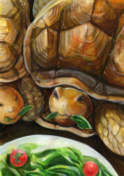 Rule 34 | absurdres, animal, animal focus, eating, food in mouth, highres, leaf, no humans, original, painting (medium), plate, tomato, tomoichi, tortoise, traditional media, turtle, turtle shell, watercolor (medium)