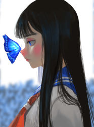 Rule 34 | 1girl, absurdres, bad id, bad pixiv id, black hair, blue butterfly, blue eyes, blue sailor collar, blurry, blurry background, bug, butterfly, closed mouth, expressionless, from side, grey shirt, highres, insect, long hair, neckerchief, orange neckerchief, original, portrait, profile, sailor collar, school uniform, shirt, solo, yamamimio