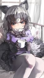 Rule 34 | 1girl, animal ears, black bow, black bowtie, black gloves, black skirt, blue eyes, blue sweater, blush, bow, bowtie, commentary request, common raccoon (kemono friends), cup, elbow gloves, fur collar, gloves, grey hair, highres, kemono friends, melaton, mug, multicolored hair, on bed, pantyhose, pleated skirt, puffy short sleeves, puffy sleeves, raccoon ears, raccoon girl, raccoon tail, short hair, short sleeves, skirt, solo, sweater, tail, white fur, white hair, white pantyhose