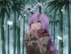 Rule 34 | 1girl, animal ears, bamboo, bamboo forest, blush, brown coat, brown scarf, buttons, coat, fingernails, forest, hair between eyes, highres, light purple hair, long hair, long sleeves, nature, open mouth, otomeza ryuseigun, rabbit ears, red eyes, reisen udongein inaba, scarf, solo, touhou, upper body