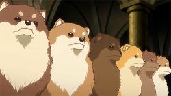 Rule 34 | 10s, animal, animated, animated gif, dance with devils, dog, lowres, no humans, pomeranian (dog)