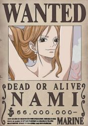 Rule 34 | 1girl, arms behind head, highres, nami (one piece), nude, nude filter, one piece, poster, third-party edit, topless, wanted
