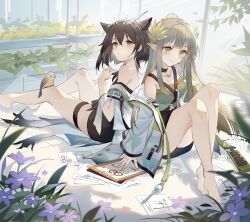 Rule 34 | 2girls, arknights, bare shoulders, barefoot, bird on leg, black skirt, brown hair, closed mouth, commentary request, feather hair, flower, full body, grey hair, grey shirt, hand up, highres, jacket, knees up, laurels, long hair, long sleeves, looking at viewer, medium hair, mole, mole under eye, muelsyse (arknights), multiple girls, notepad, off shoulder, on ground, open clothes, open jacket, owl ears, paper, plant, pointy ears, purple flower, rhine lab logo, samele otaku, shirt, silence (arknights), silence the paradigmatic (arknights), sitting, skirt, smile, thigh strap, white jacket, yellow eyes, yellow flower