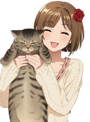 Rule 34 | 1girl, ^ ^, animal, brown hair, cat, closed eyes, commentary request, closed eyes, fangs, flower, hair flower, hair ornament, happy, holding, holding animal, holding cat, idolmaster, idolmaster cinderella girls, idolmaster cinderella girls starlight stage, maekawa miku, mattaku mousuke, open mouth, short hair, simple background, sleeves past wrists, solo, sweater, unamused, upper body, white background