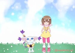 Rule 34 | animal ears, animated, cat, cat ears, digimon, digimon (creature), gloves, grass, holy ring, petals, tail, tailmon, video, yagami hikari