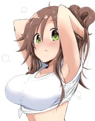 Rule 34 | 1girl, armpits, arms behind head, arms up, blush, breasts, brown hair, closed mouth, collarbone, dot nose, green eyes, himekawa yuki, idolmaster, idolmaster cinderella girls, idolmaster cinderella girls starlight stage, long hair, looking at viewer, medium breasts, midriff, owerk, shirt, simple background, solo, steam, sweat, tied shirt, tying hair, upper body, white background, white shirt